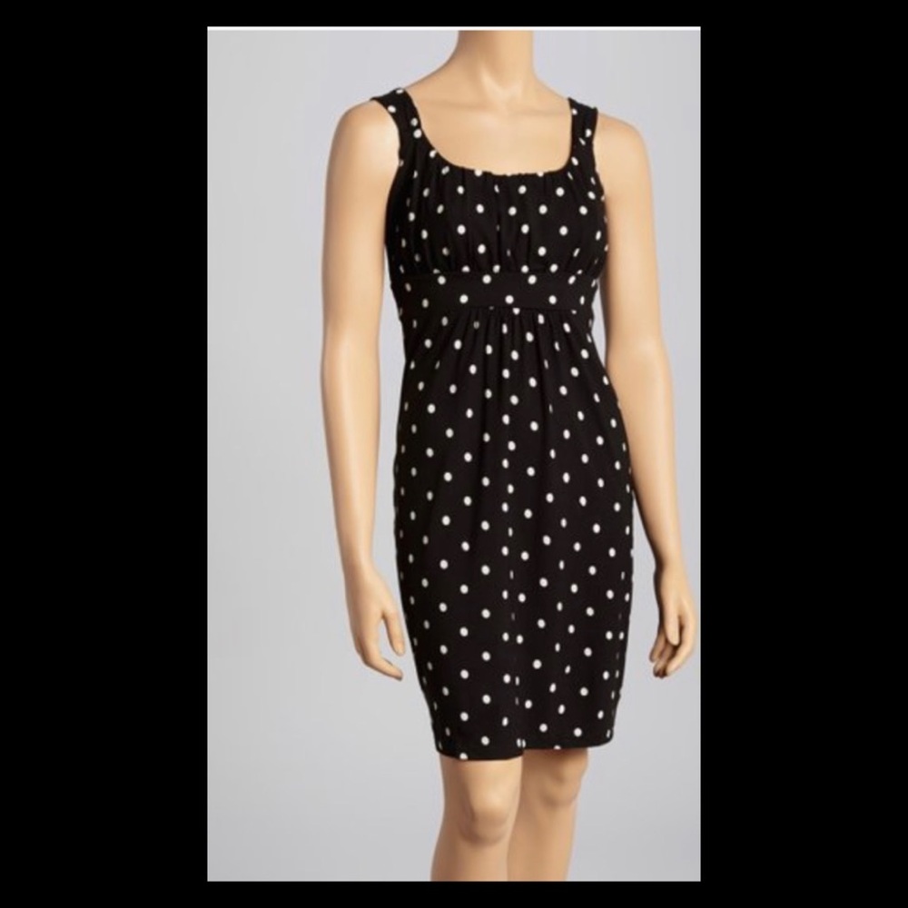 Ann Taylor Polka Dot Empire Waist Dress